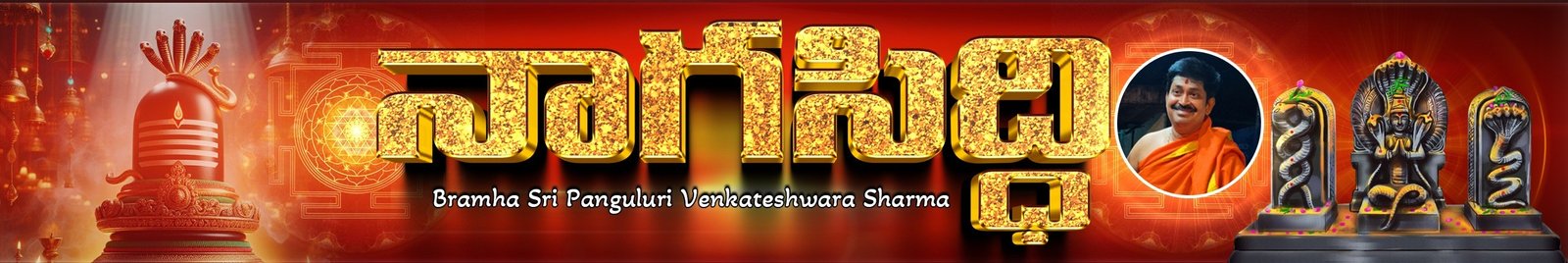Nagasidhi